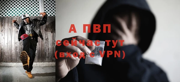 прущие грибы Майский