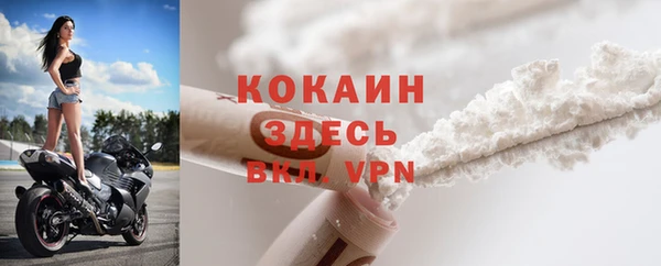 прущие грибы Майский