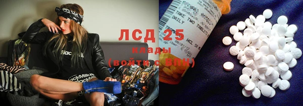 прущие грибы Майский